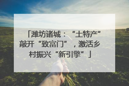 潍坊诸城：“土特产”敲开“致富门”，激活乡村振兴“新引擎”