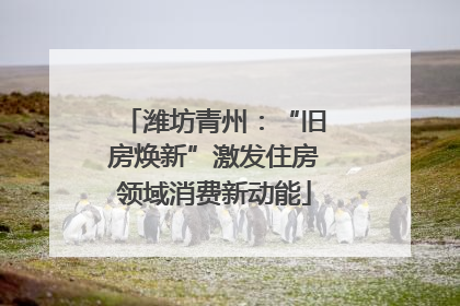潍坊青州：“旧房焕新”激发住房领域消费新动能