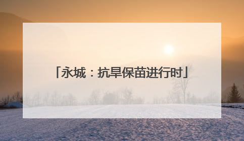 永城：抗旱保苗进行时
