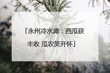 永州冷水滩：西瓜获丰收 瓜农笑开怀