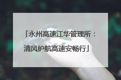 永州高速江华管理所：清风护航高速安畅行