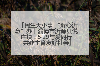 民生大小事 “沂心沂意”办丨淄博市沂源县悦庄镇：5·29与爱同行 共建生育友好社会