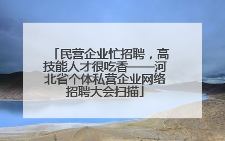 民营企业忙招聘，高技能人才很吃香——河北省个体私营企业网络招聘大会扫描