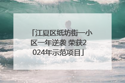 江夏区纸坊街一小区一年逆袭 荣获2024年示范项目