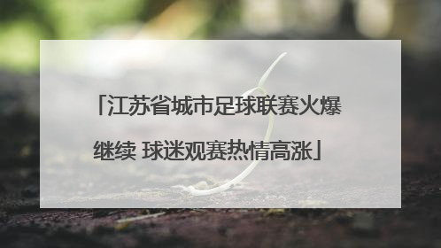 江苏省城市足球联赛火爆继续 球迷观赛热情高涨