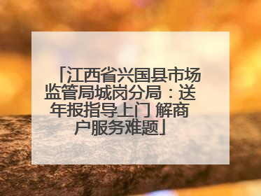 江西省兴国县市场监管局城岗分局：送年报指导上门 解商户服务难题