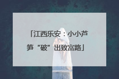 江西乐安：小小芦笋“破”出致富路