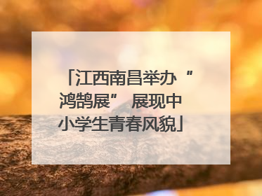 江西南昌举办“鸿鹄展” 展现中小学生青春风貌