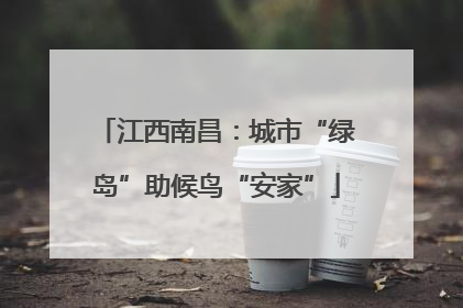 江西南昌：城市“绿岛”助候鸟“安家”