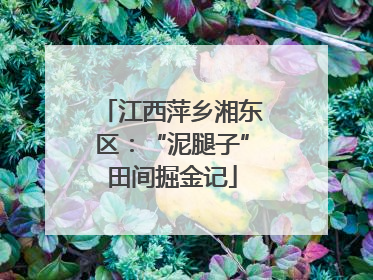 江西萍乡湘东区：“泥腿子”田间掘金记
