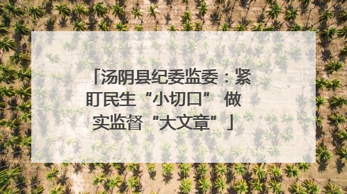 汤阴县纪委监委：紧盯民生“小切口” 做实监督“大文章”