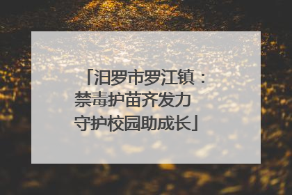 汨罗市罗江镇：禁毒护苗齐发力 守护校园助成长