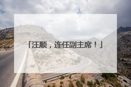 汪顺，连任副主席！