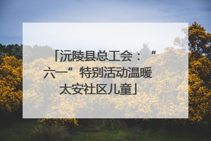 沅陵县总工会：“六一”特别活动温暖太安社区儿童