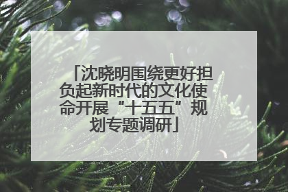 沈晓明围绕更好担负起新时代的文化使命开展“十五五”规划专题调研