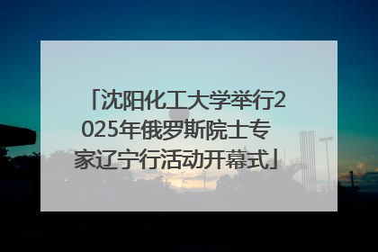 沈阳化工大学举行2025年俄罗斯院士专家辽宁行活动开幕式