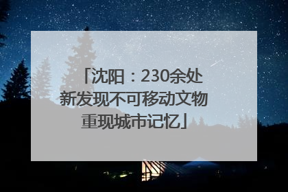 沈阳：230余处新发现不可移动文物重现城市记忆