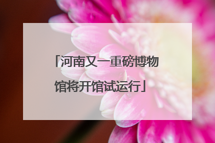 河南又一重磅博物馆将开馆试运行