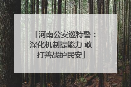 河南公安巡特警：深化机制提能力 敢打善战护民安