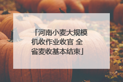 河南小麦大规模机收作业收官 全省麦收基本结束