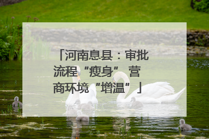 河南息县：审批流程“瘦身” 营商环境“增温”
