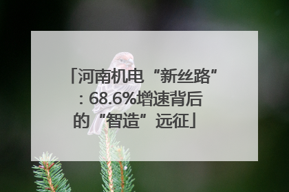 河南机电“新丝路”：68.6%增速背后的“智造”远征