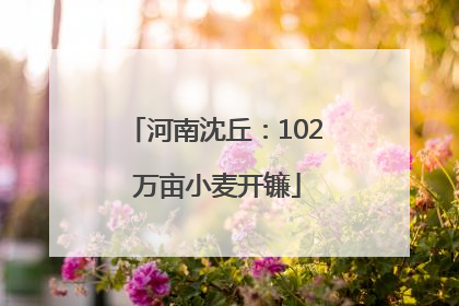 河南沈丘：102 万亩小麦开镰