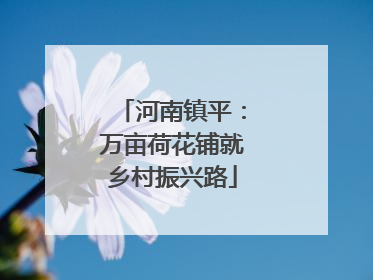 河南镇平：万亩荷花铺就乡村振兴路