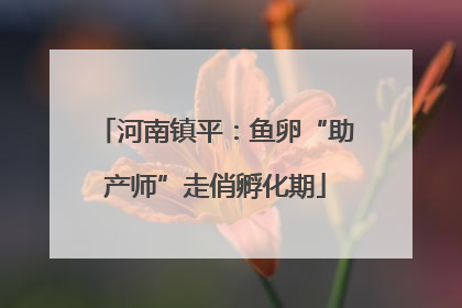 河南镇平：鱼卵“助产师”走俏孵化期