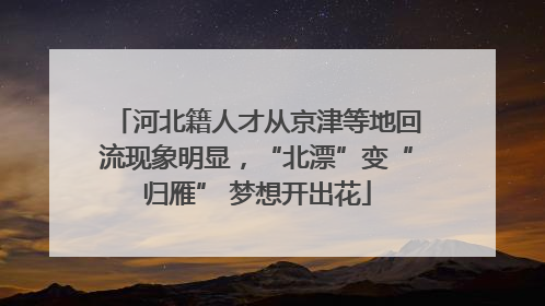 河北籍人才从京津等地回流现象明显，“北漂”变“归雁” 梦想开出花