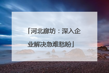 河北廊坊：深入企业解决急难愁盼