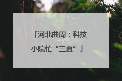 河北曲周：科技小院忙“三夏”