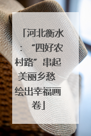 河北衡水：“四好农村路”串起美丽乡愁 绘出幸福画卷