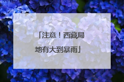 注意！西藏局地有大到暴雨