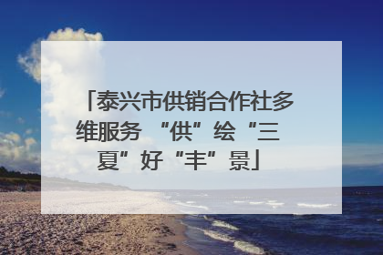泰兴市供销合作社多维服务 “供”绘“三夏”好“丰”景