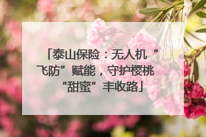 泰山保险：无人机“飞防”赋能，守护樱桃“甜蜜”丰收路