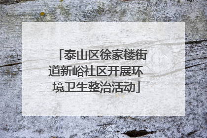 泰山区徐家楼街道新峪社区开展环境卫生整治活动