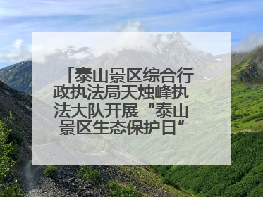 泰山景区综合行政执法局天烛峰执法大队开展“泰山景区生态保护日”志愿宣传活动