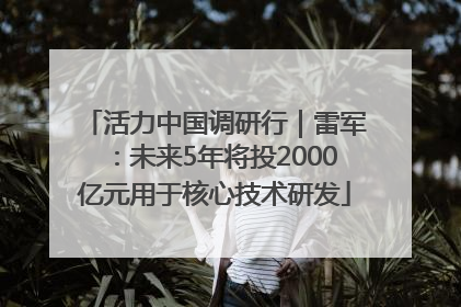 活力中国调研行｜雷军：未来5年将投2000亿元用于核心技术研发