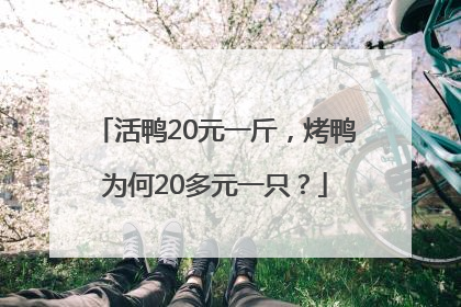 活鸭20元一斤，烤鸭为何20多元一只？