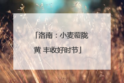 洛南：小麦覆陇黄 丰收好时节