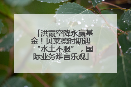 洪霞空降永赢基金！贝莱德时期遇“水土不服”，国际业务难言乐观