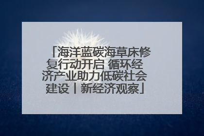海洋蓝碳海草床修复行动开启 循环经济产业助力低碳社会建设丨新经济观察