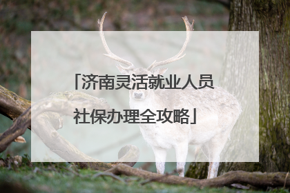 济南灵活就业人员社保办理全攻略