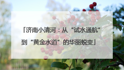 济南小清河：从“试水通航”到“黄金水道”的华丽蜕变