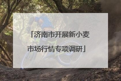 济南市开展新小麦市场行情专项调研