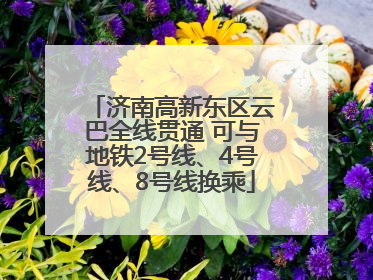 济南高新东区云巴全线贯通 可与地铁2号线、4号线、8号线换乘