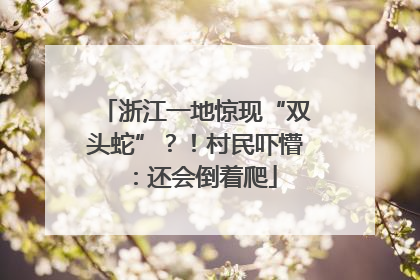 浙江一地惊现“双头蛇”？！村民吓懵：还会倒着爬