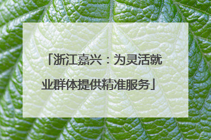 浙江嘉兴：为灵活就业群体提供精准服务