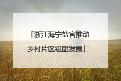 浙江海宁盐官推动乡村片区组团发展